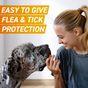 FRONTPRO® Chewable Tablets Flea & Tick Treatment for Medium Dogs 4-10kg, 3 Pack