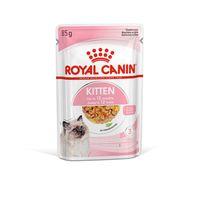 Royal Canin Kitten Pouch Multipack in Jelly 48x85g