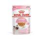 Royal Canin Kitten Pouch Multipack in Jelly 48x85g