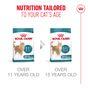 Royal Canin FHN Ageing Dry Cat Food 11+ 400g
