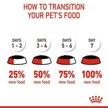 Royal Canin Puppy Small Breed Wet Dog Food in Gravy 48x85g