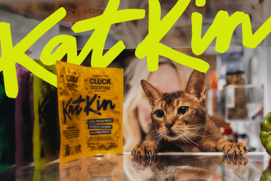 Cat looking at KatKin cat food.