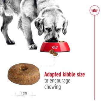 Royal Canin Dry Dog Food Maxi Ageing 8+ 15kg