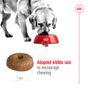 Royal Canin Dry Dog Food Maxi Ageing 8+ 15kg