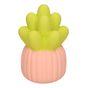 Rufus & Rosie Latex Potted Happy Plant Dog Toy