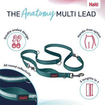 Halti Anatomy Multi Use Dog Lead in Teal, Small