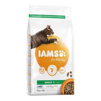 Iams dog food 2kg best sale