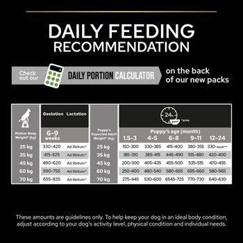 PRO PLAN Large Athletic Puppy Healthy Start Chicken Dry Dog Food 12kg