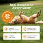 Zesty Paws Scoot Away Chews for Dogs 210g