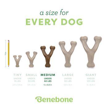 Benebone Wishbone Bacon Dog Toy Medium