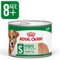Royal Canin Mini Ageing 8+ Senior Wet Small Dog Food Cans In Loaf 195g