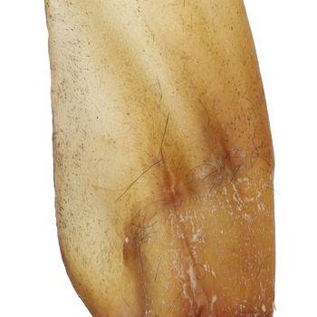 Jollyes Natural Dried Buffalo's Ear, Dog Treat 1 Pack
