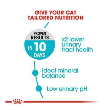 Royal Canin Urinary Care Dry Cat Food, 400g