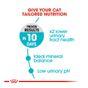 Royal Canin Urinary Care Dry Cat Food, 400g