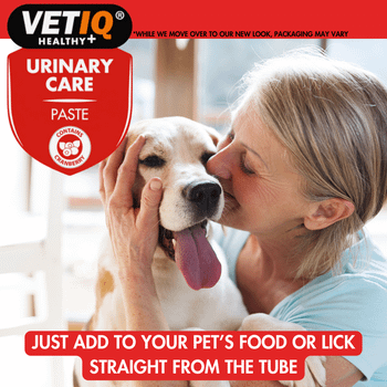VetIQ Urinary Care paste for Cats and Dogs 100g
