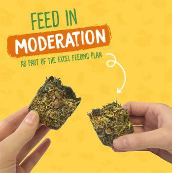 Burgess Excel Forage and Feast Hay Bar with Marigold 60g