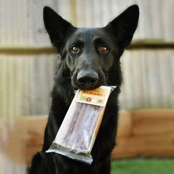 Jr Pet Products Pure Kangaroo Sticks 50g