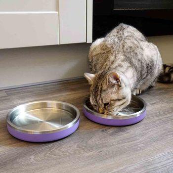 Rosewood Double Wall Steel Teal Cat Bowl
