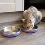 Rosewood Double Wall Steel Teal Cat Bowl