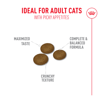 Royal Canin Fussy Dry Cat Food 400g