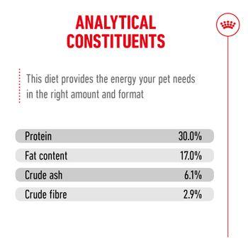 Royal Canin FHN Ageing Dry Cat Food 11+ 400g