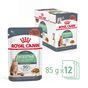 Royal Canin Digestive Care Wet Cat Food in Gravy 48x85g