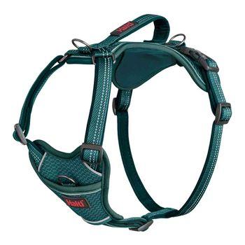 Halti Anatomy Dog Harness Teal Small