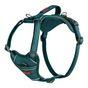 Halti Anatomy Dog Harness Teal Small