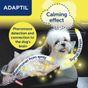 Adaptil Calming Spray, 60ml