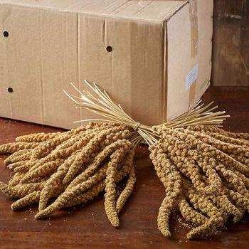 Marriages Millet Spray 15kg Pet Bird Food Treats