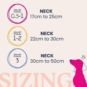 Doodlebone Dinky Dog Collar Mint 0.5-1