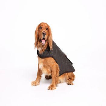 Rufus & Rosie Wax Style Reflective Dog Jacket, XL