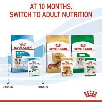 Royal Canin Puppy Small Breed Wet Dog Food in Gravy 48x85g
