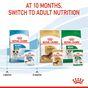 Royal Canin Puppy Small Breed Wet Dog Food in Gravy 48x85g