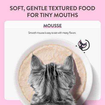 Schesir Complete and Balanced Wet Kitten Food Salmon in Mousse 70g