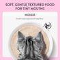 Schesir Complete and Balanced Wet Kitten Food Salmon in Mousse 70g