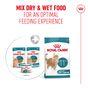 Royal Canin FHN Ageing 11+ Wet Cat Food in Gravy 12x85g