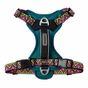 Neerdog Go-B-Bold Airflow Dog Harness-Lantana Small