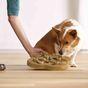 Nina Ottosson Outward Hound Dog Hide 'n' Slide Dog Toy Tan