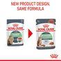 Royal Canin Digestive Care Wet Cat Food in Gravy 48x85g