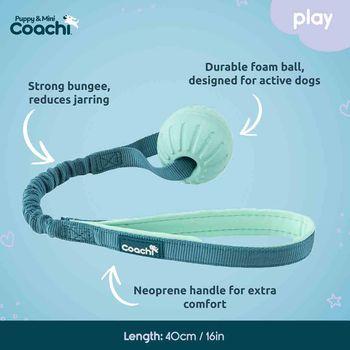 Coachi Puppy & Mini Tuggi Ball Dog Toy Teal & Mint