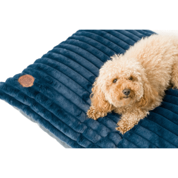 Snug & Cosy Faux Fur Dog Lounger Blue