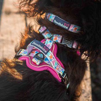 Doodlebone Trendy Tails Padded Dog Collar Pink 6-11