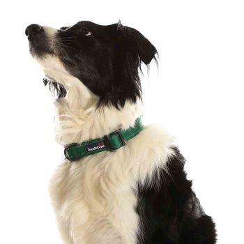 Doodlebone Trendy Tails Padded Dog Collar Green 6-11