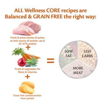 Wellness CORE Dry Adult Dog Food Original Turkey with Chicken Recipe 10kg