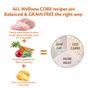 Wellness CORE Dry Adult Dog Food Original Turkey with Chicken Recipe 10kg