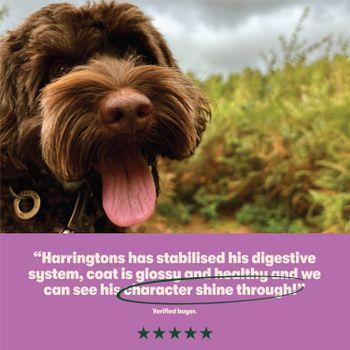 Harringtons Dry Dog Food, Lamb, 4KG