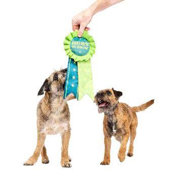 Bark Crufts Best In Show Dog Toy