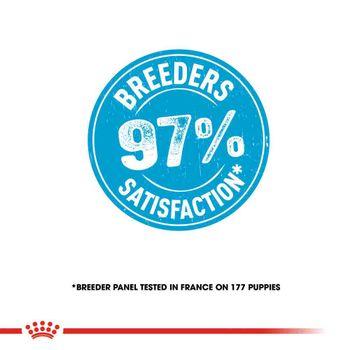 Royal Canin Dry Dog Food Mini Puppy 8kg