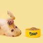Tuggs Chicken Coup Complete Fresh Frozen Dog Food 300g